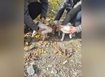 Anastasia – klein, tapsig und bereit fürs große Glück