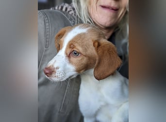 Anastasia – klein, tapsig und bereit fürs große Glück