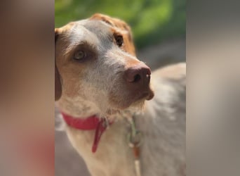 Zoe, sucht ihre Herzensmenschen