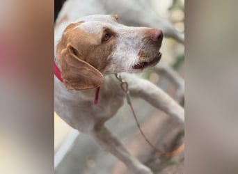 Zoe, sucht ihre Herzensmenschen