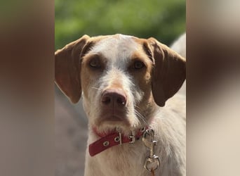 Zoe, sucht ihre Herzensmenschen