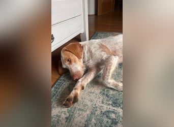 Zoe, sucht ihre Herzensmenschen