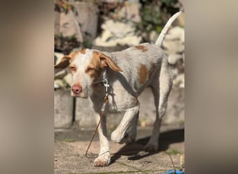 Zoe, sucht ihre Herzensmenschen