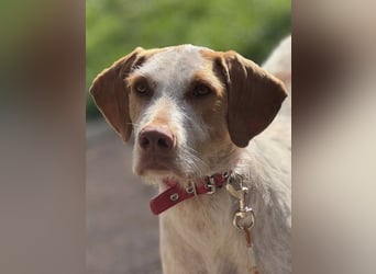 Zoe, sucht ihre Herzensmenschen