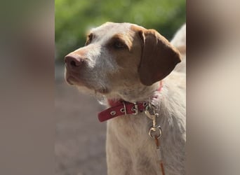 Zoe, sucht ihre Herzensmenschen