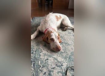 Zoe, sucht ihre Herzensmenschen