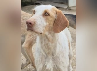Notfall, Zoe muss dringend umziehen