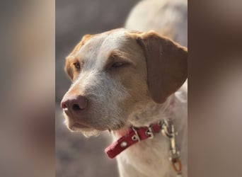 Zoe, sucht ihre Herzensmenschen