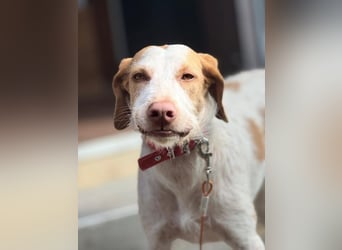 Zoe, sucht ihre Herzensmenschen