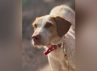 Zoe, sucht ihre Herzensmenschen