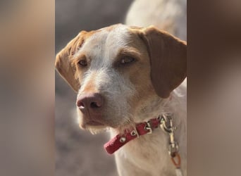 Zoe, sucht ihre Herzensmenschen