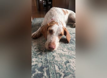 Zoe, sucht ihre Herzensmenschen