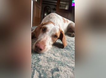 Zoe, sucht ihre Herzensmenschen