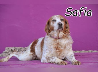 Öffnest du für Safia dein Herz?