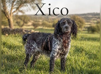Xico – ein unkomplizierter Begleiter
