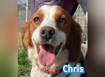 Chris - freundlich und menschenbezogen