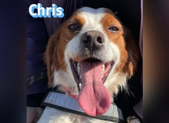 Chris - freundlich und menschenbezogen