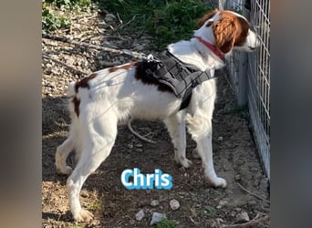 Chris - freundlich und menschenbezogen