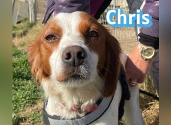 Chris - freundlich und menschenbezogen