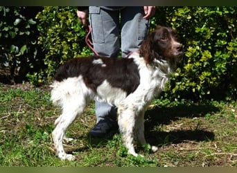 Hopi - Und wenn alles leer ist?