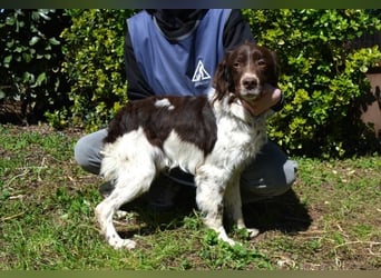 Hopi - Und wenn alles leer ist?