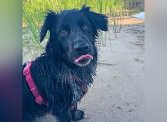 Wesley - wann geht es los?