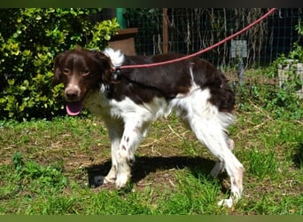 Hopi - Und wenn alles leer ist?