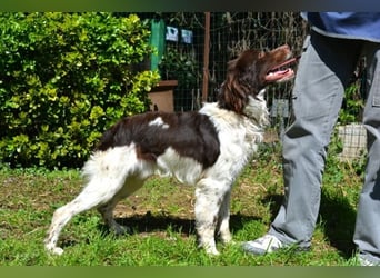 Hopi - Und wenn alles leer ist?