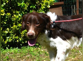 Hopi - Und wenn alles leer ist?