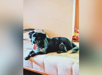 Wesley - wann geht es los?