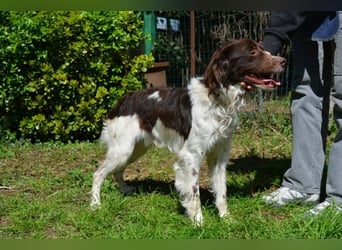 Hopi - Und wenn alles leer ist?