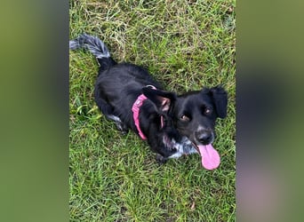 Wesley - wann geht es los?