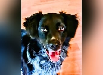 Wesley - wann geht es los?