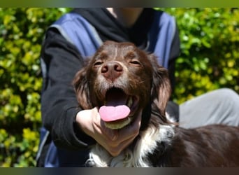 Hopi - Und wenn alles leer ist?