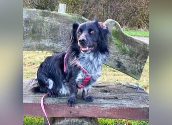 Wesley - wann geht es los?