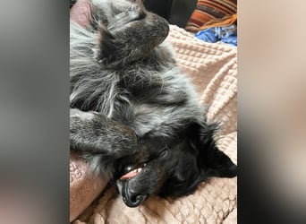 Wesley - wann geht es los?