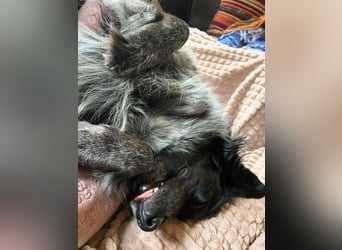 Wesley - wann geht es los?