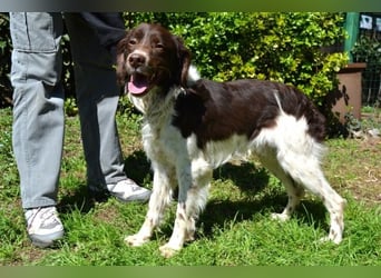 Hopi - Und wenn alles leer ist?