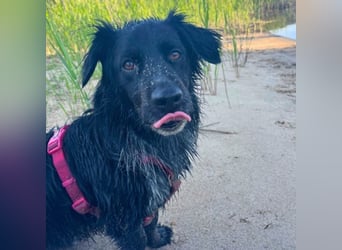 Wesley - wann geht es los?