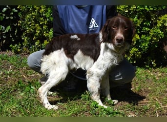 Hopi - Und wenn alles leer ist?