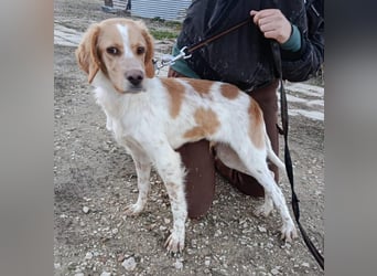 Fenix, fast verhungert