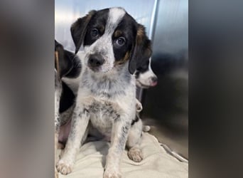 Oceano - Augen mit so viel Tiefe wie der Ozean