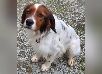 Brex: was will man mehr?