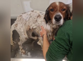 Brex: was will man mehr?