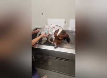 Brex: was will man mehr?