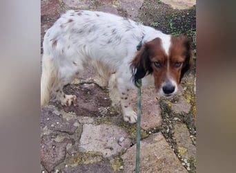 Brex: was will man mehr?