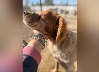 Hier kommt der wundervolle Argo!