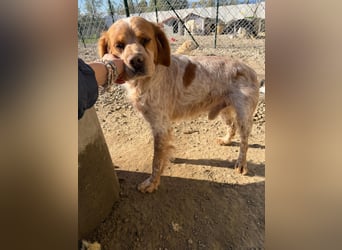 Hier kommt der wundervolle Argo!