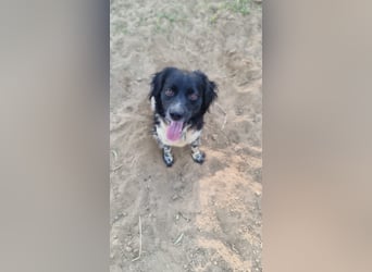 Timmy - In letzter Minute gerettet