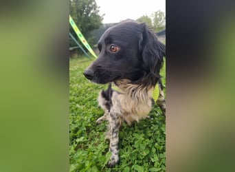 Timmy - In letzter Minute gerettet
